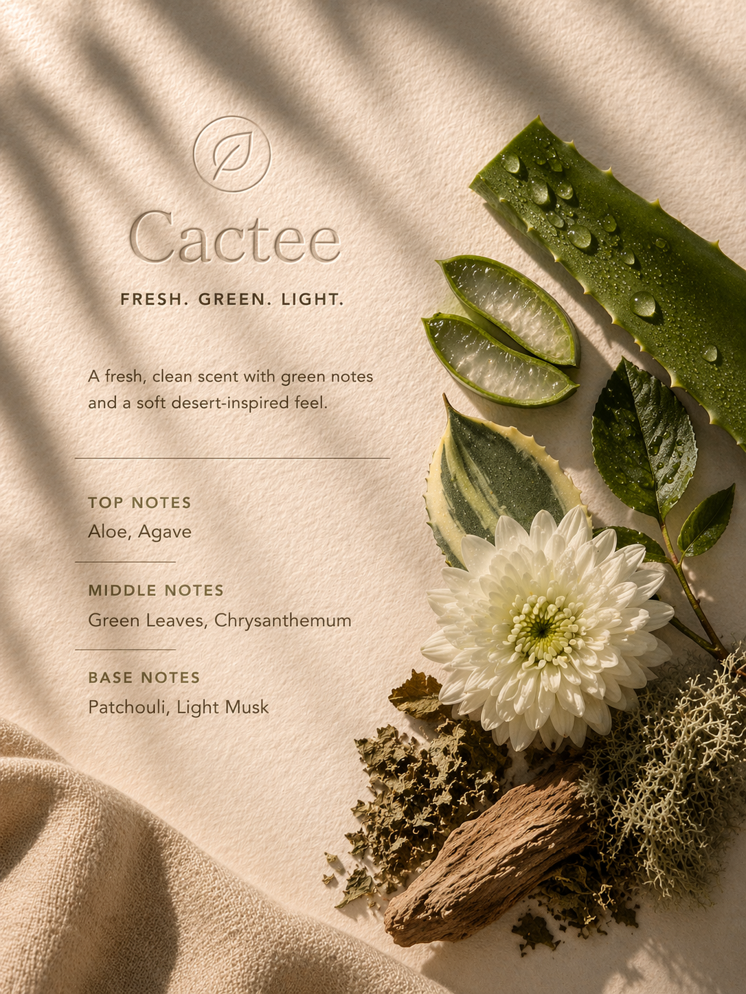 Cactee( Best Seller)
